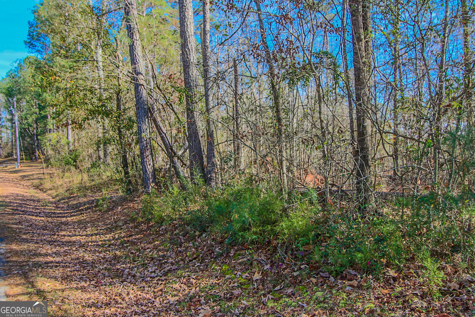 0 Haley Road Jackson GA 30233