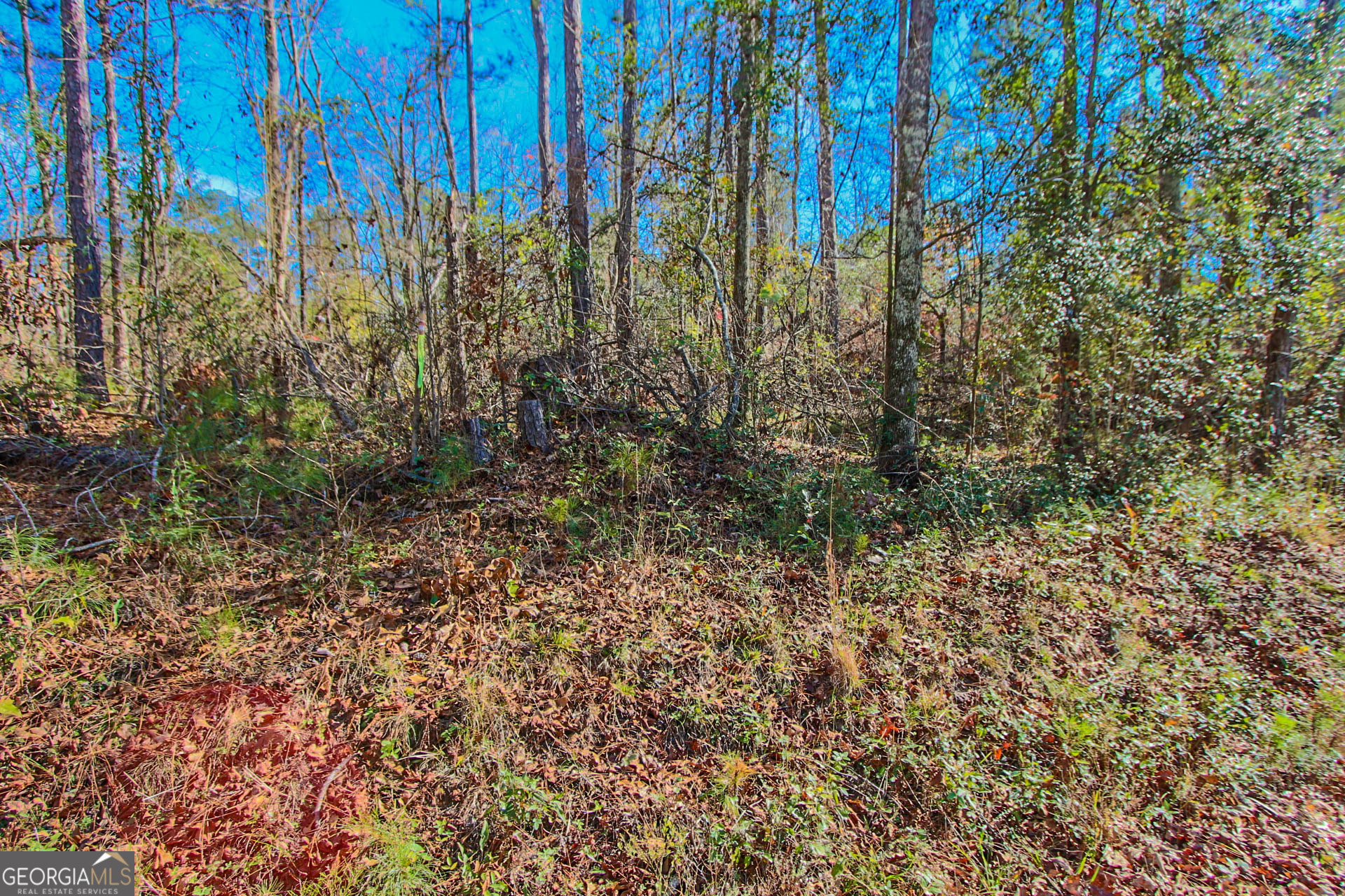 0 Haley Road Jackson GA 30233