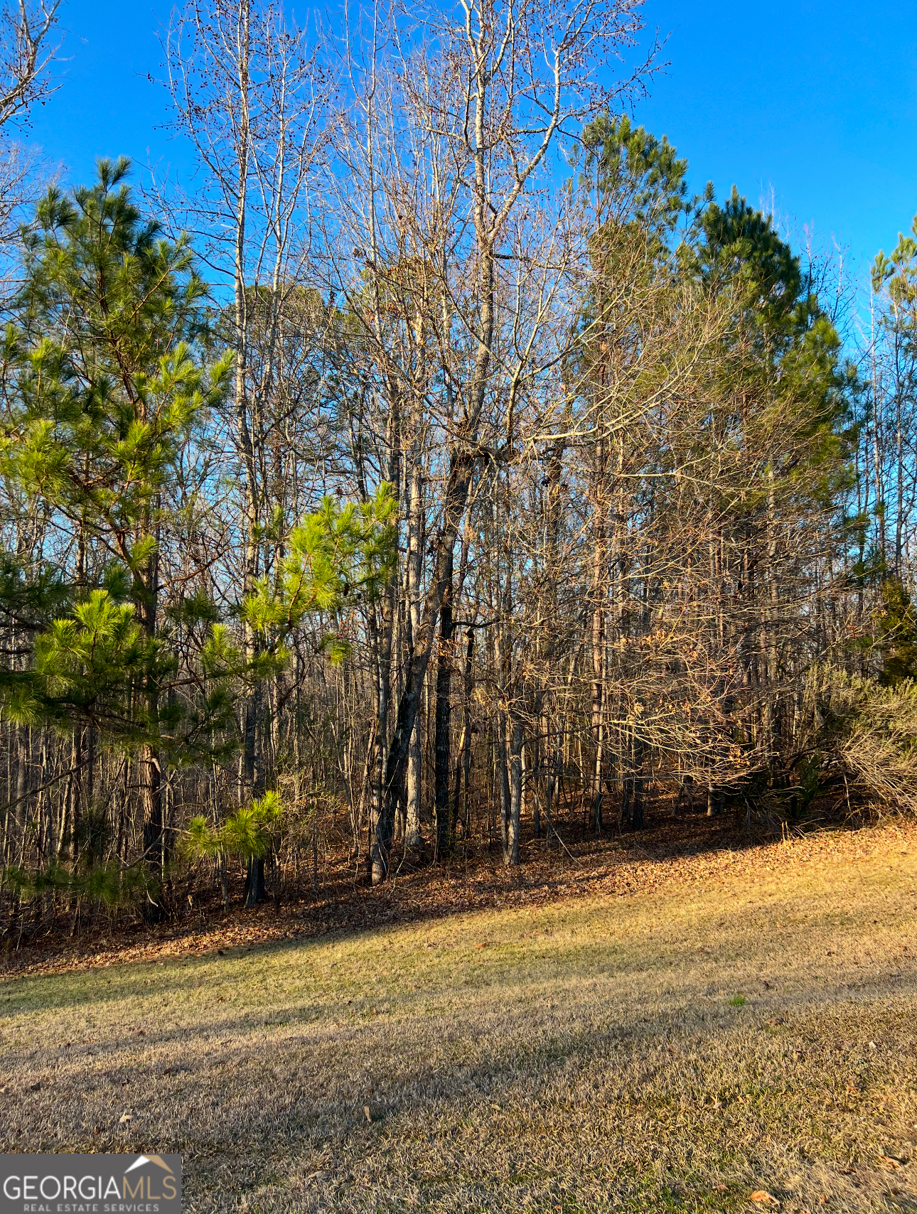 108 Gardens Drive Forsyth GA 31029