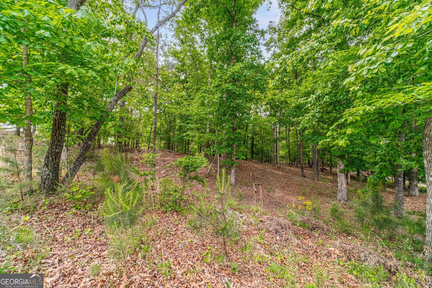 5953 Grand Marina Circle Gainesville GA 30506