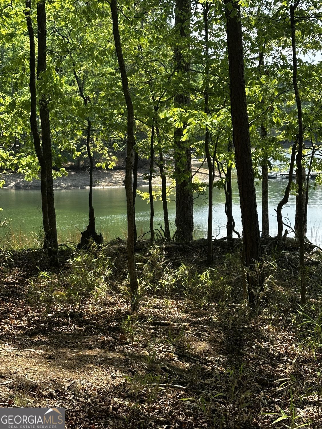 5953 Grand Marina Circle Gainesville GA 30506