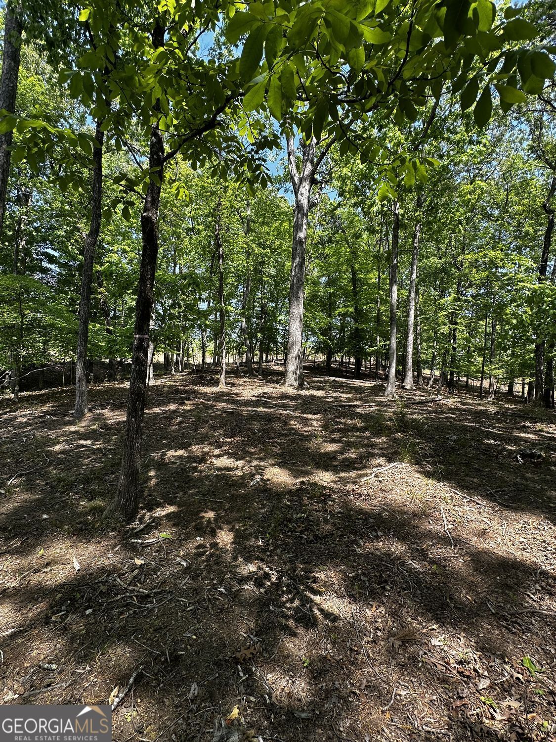 5953 Grand Marina Circle Gainesville GA 30506