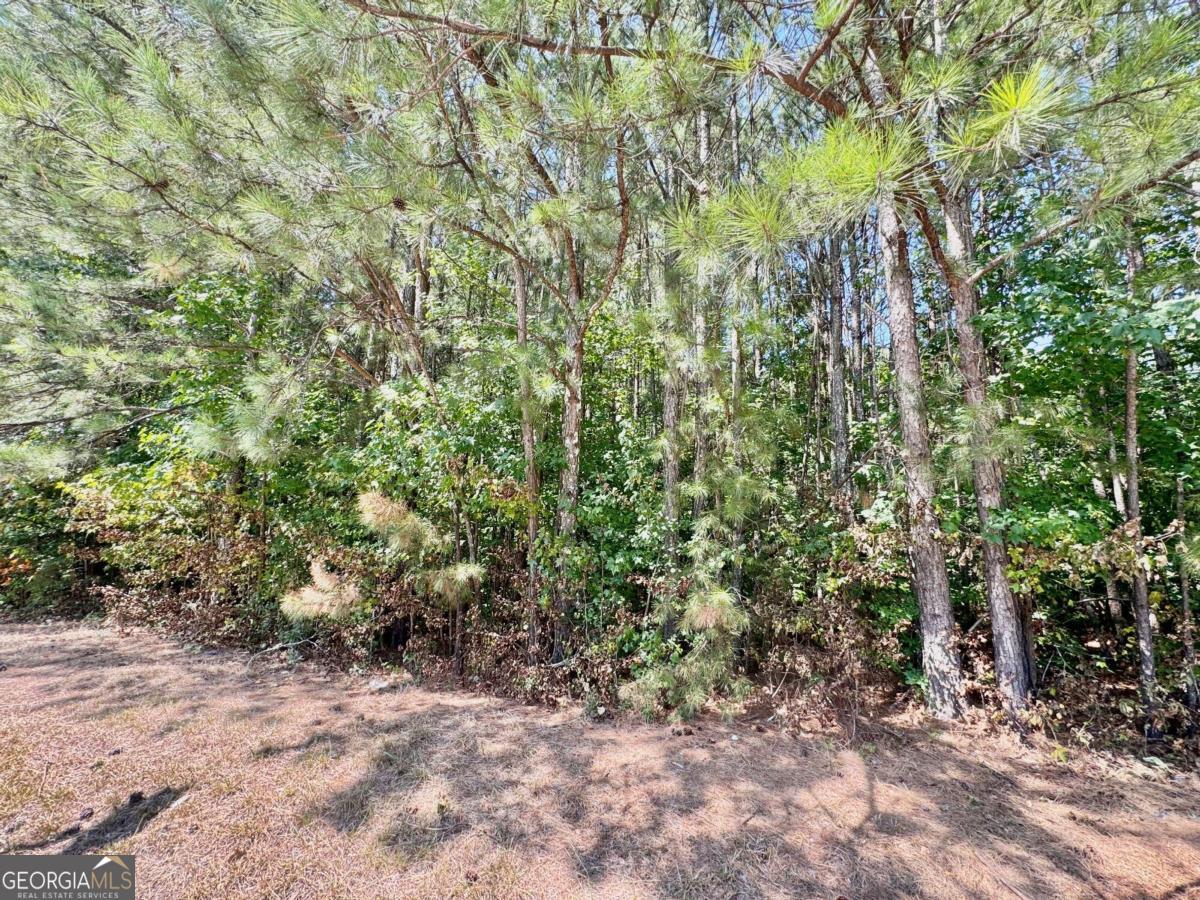 0 Atlanta Highway S Auburn GA 30011