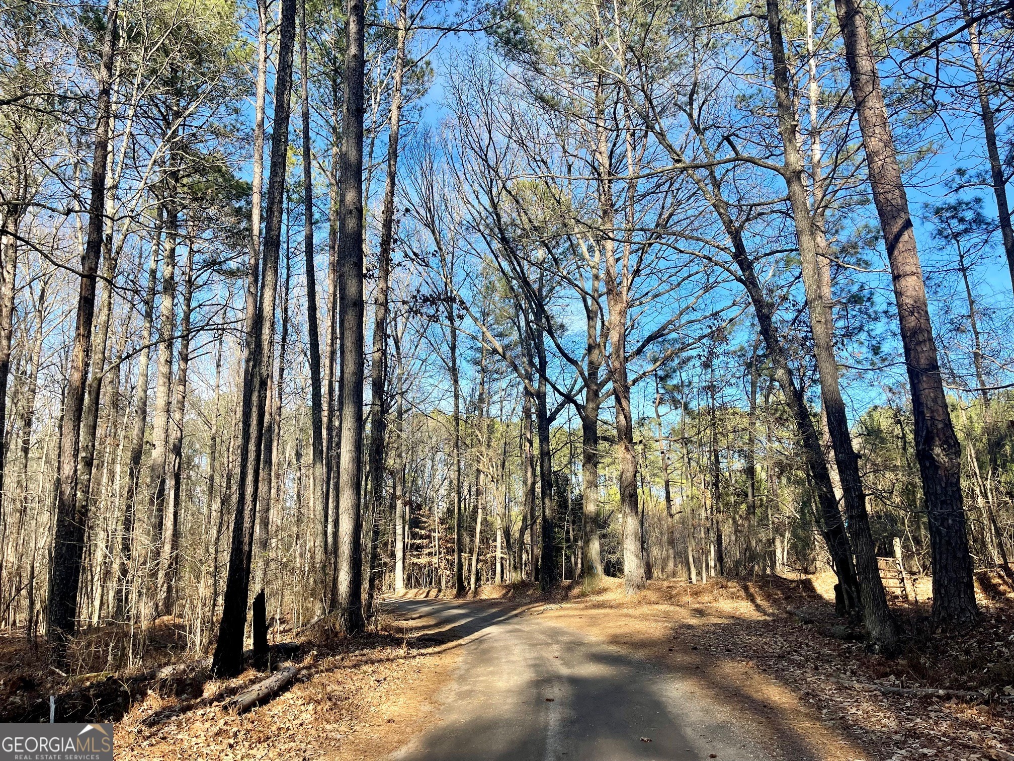 0 Padgett Road Senoia GA 30276