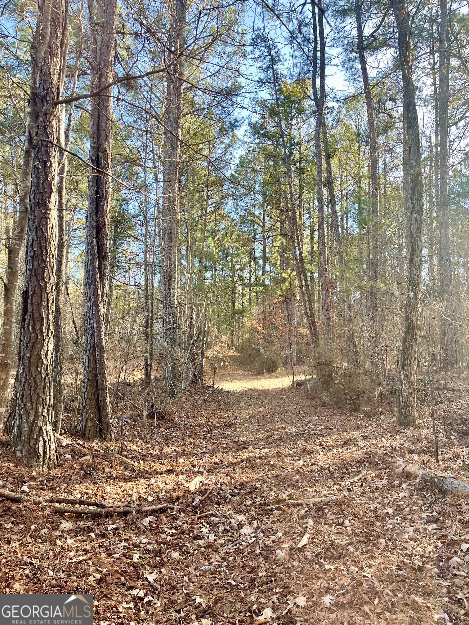 0 Padgett Road Senoia GA 30276