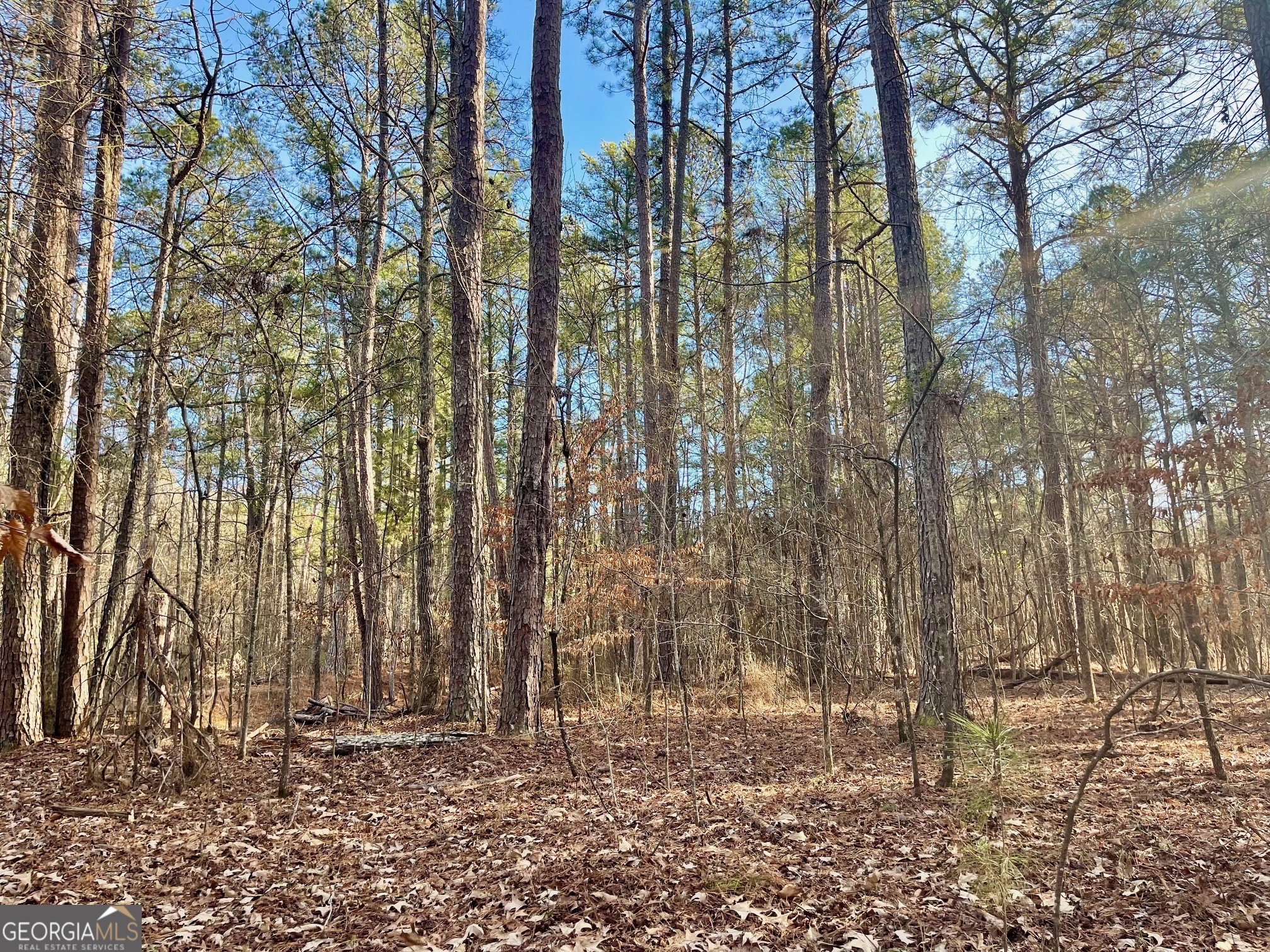 0 Padgett Road Senoia GA 30276