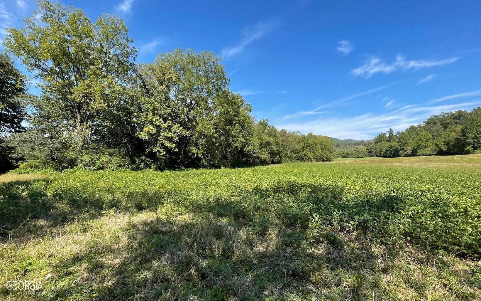 37+ Acres Jarrett Road Hayesville NC 28904