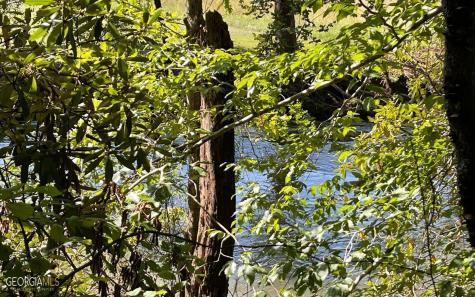 37+ Acres Jarrett Road Hayesville NC 28904