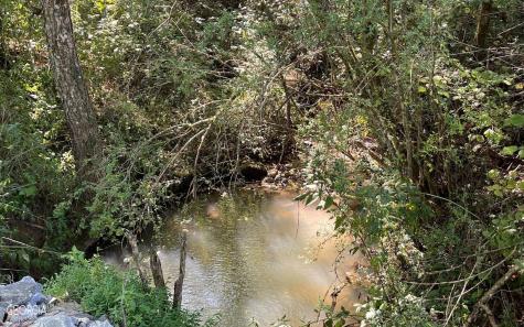 37+ Acres Jarrett Road Hayesville NC 28904