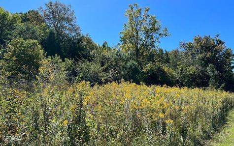 37+ Acres Jarrett Road Hayesville NC 28904