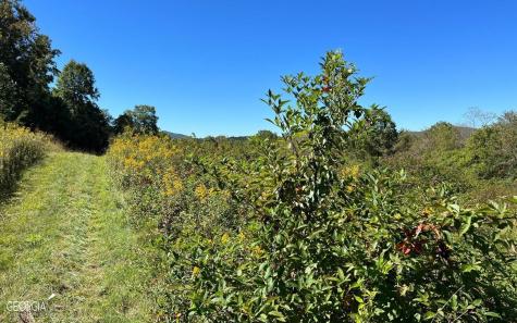 37+ Acres Jarrett Road Hayesville NC 28904
