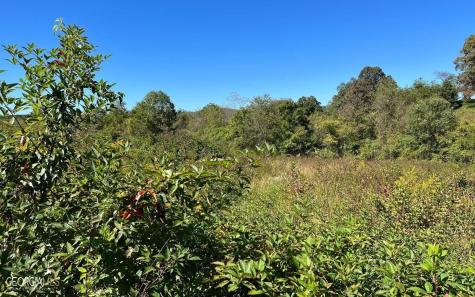 37+ Acres Jarrett Road Hayesville NC 28904