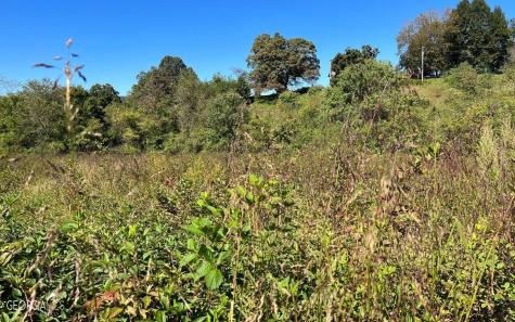 37+ Acres Jarrett Road Hayesville NC 28904