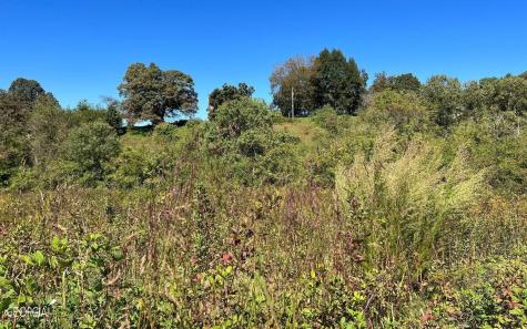 37+ Acres Jarrett Road Hayesville NC 28904