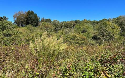 37+ Acres Jarrett Road Hayesville NC 28904