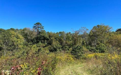 37+ Acres Jarrett Road Hayesville NC 28904