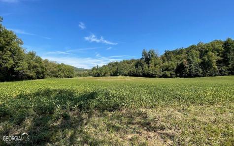37+ Acres Jarrett Road Hayesville NC 28904