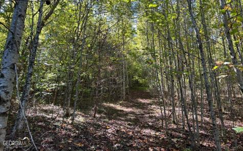 37+ Acres Jarrett Road Hayesville NC 28904