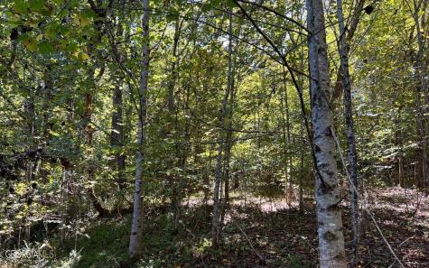 37+ Acres Jarrett Road Hayesville NC 28904