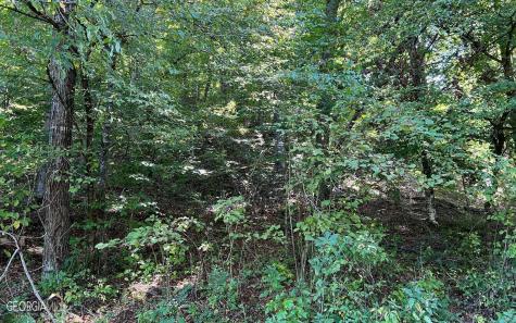 37+ Acres Jarrett Road Hayesville NC 28904
