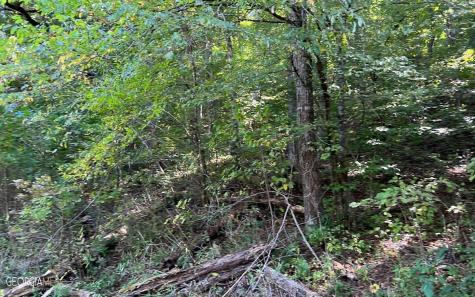 37+ Acres Jarrett Road Hayesville NC 28904