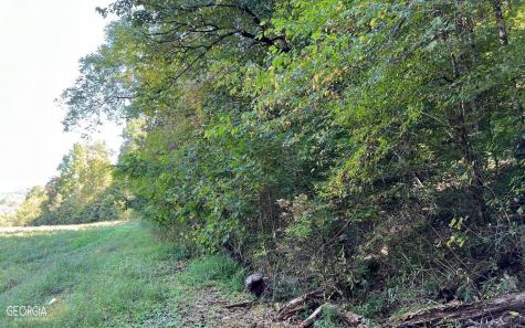 37+ Acres Jarrett Road Hayesville NC 28904
