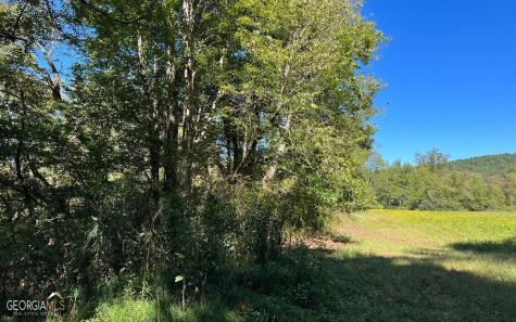 37+ Acres Jarrett Road Hayesville NC 28904