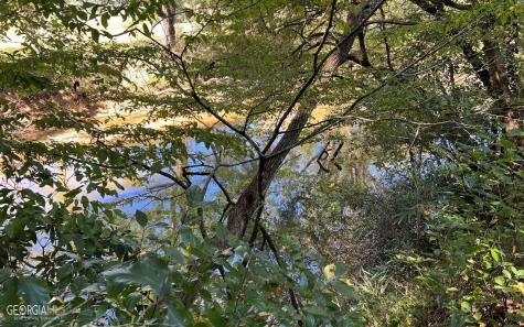 37+ Acres Jarrett Road Hayesville NC 28904