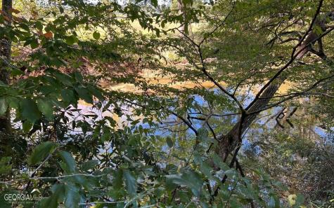 37+ Acres Jarrett Road Hayesville NC 28904