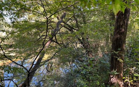 37+ Acres Jarrett Road Hayesville NC 28904