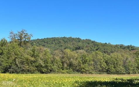 37+ Acres Jarrett Road Hayesville NC 28904