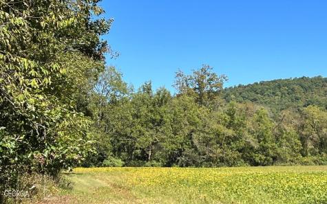 37+ Acres Jarrett Road Hayesville NC 28904
