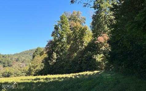 37+ Acres Jarrett Road Hayesville NC 28904