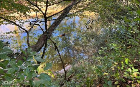 37+ Acres Jarrett Road Hayesville NC 28904