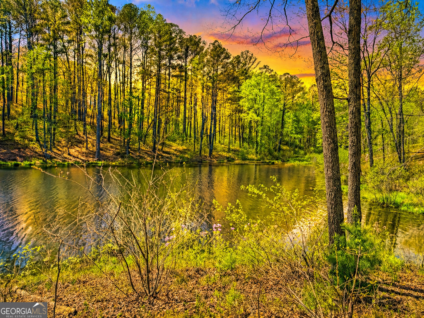 177R Overlook Drive Ellijay GA 30536