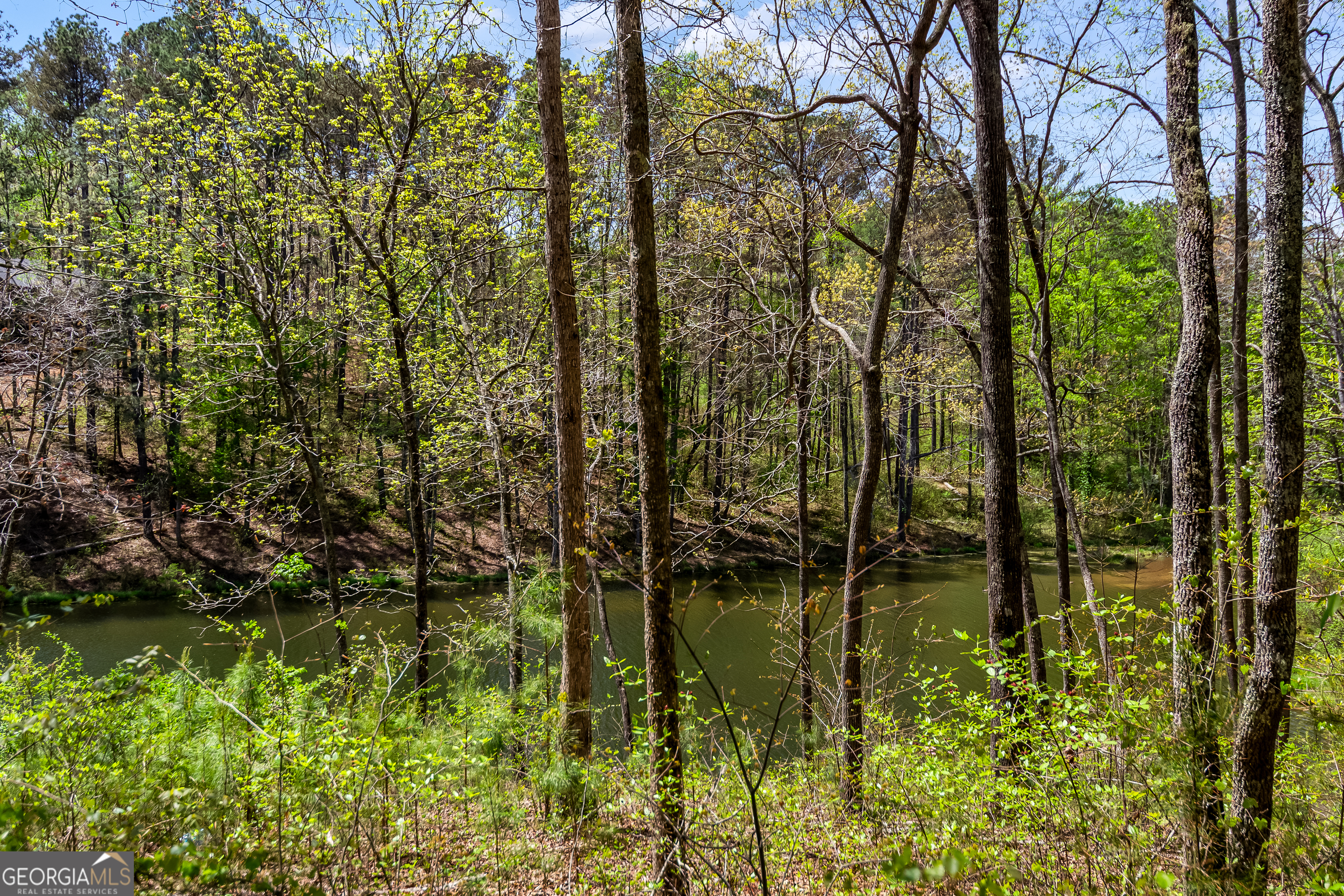 177R Overlook Drive Ellijay GA 30536