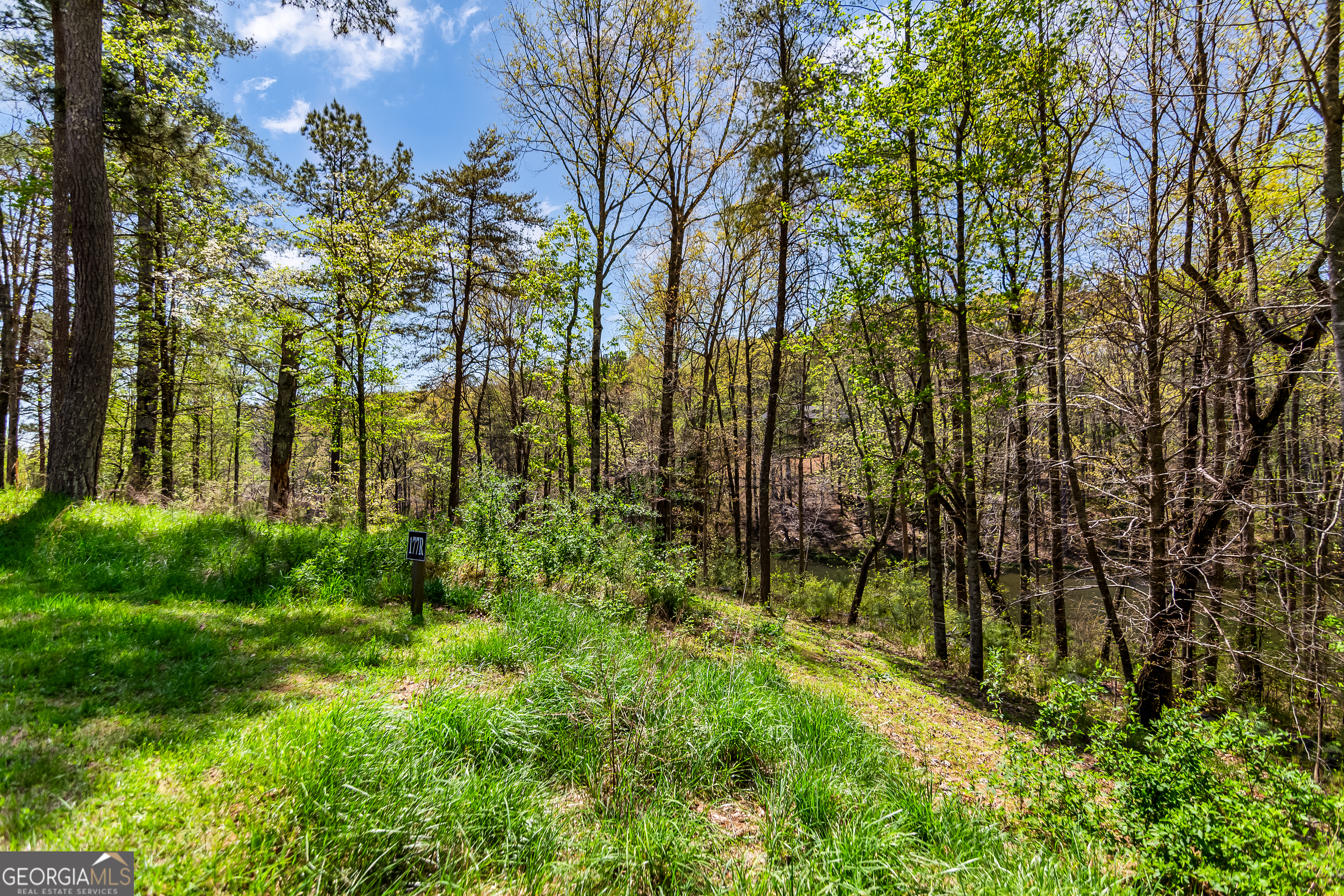 177R Overlook Drive Ellijay GA 30536
