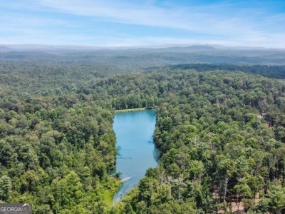 177R Overlook Drive Ellijay GA 30536
