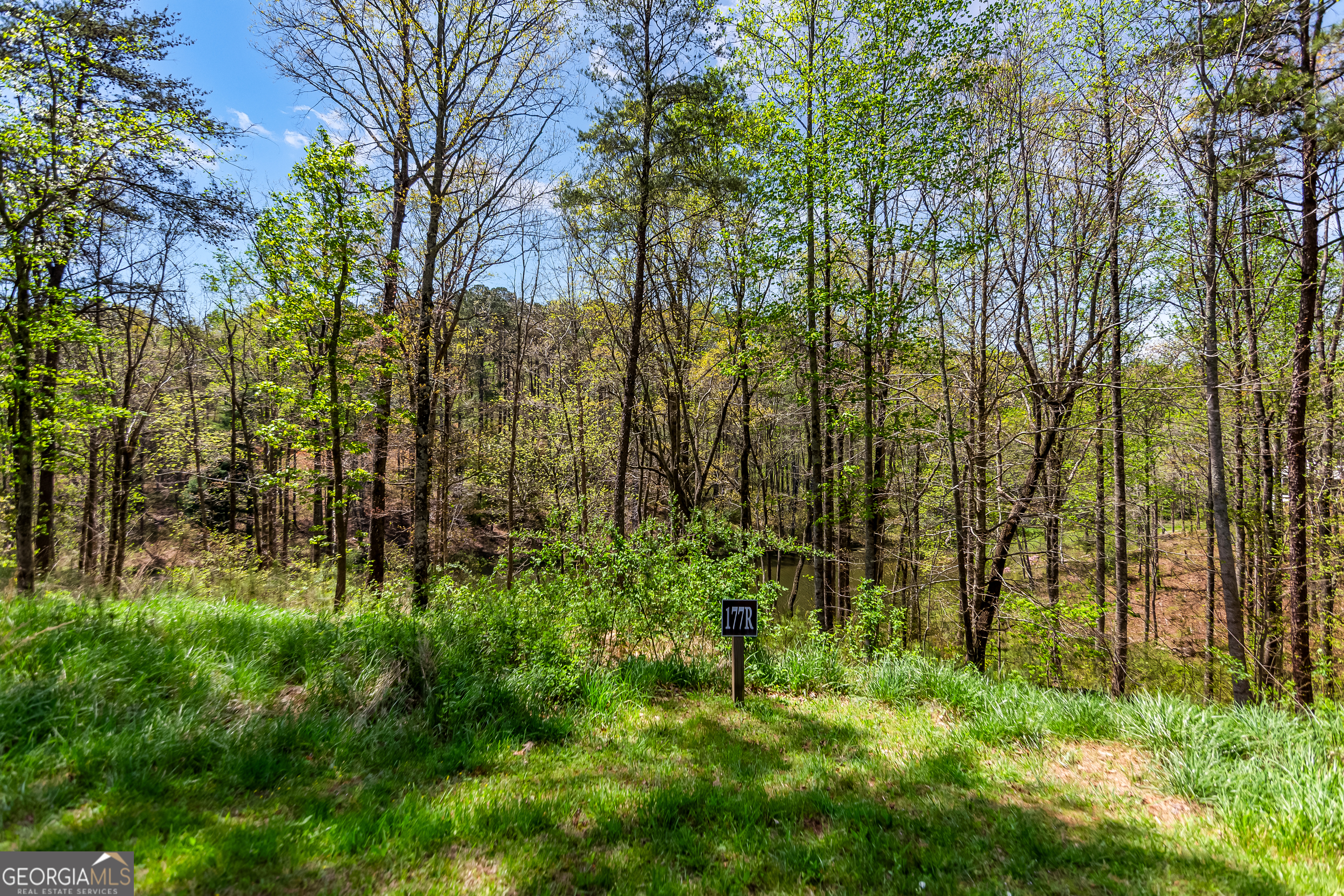 177R Overlook Drive Ellijay GA 30536