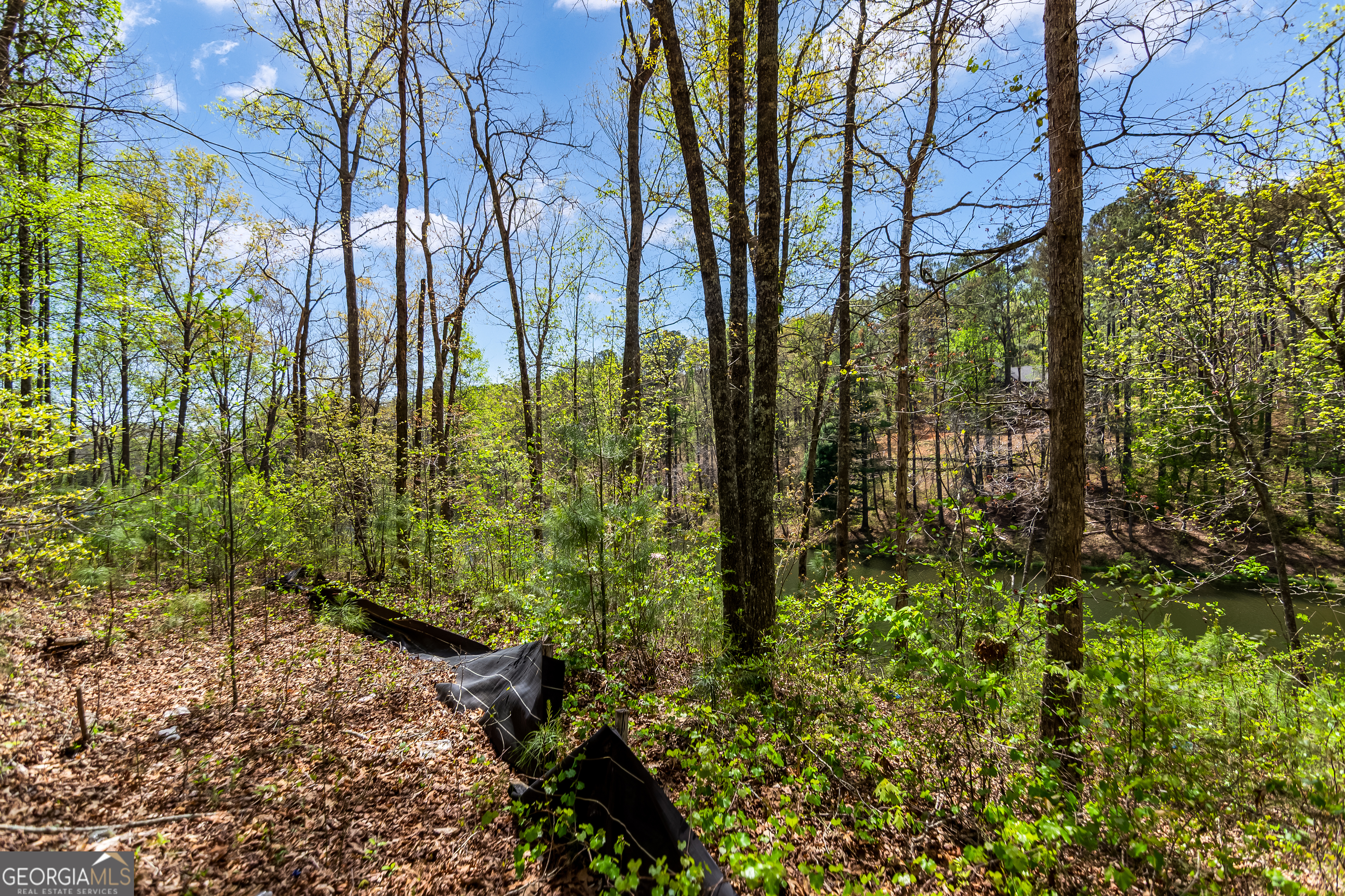 177R Overlook Drive Ellijay GA 30536