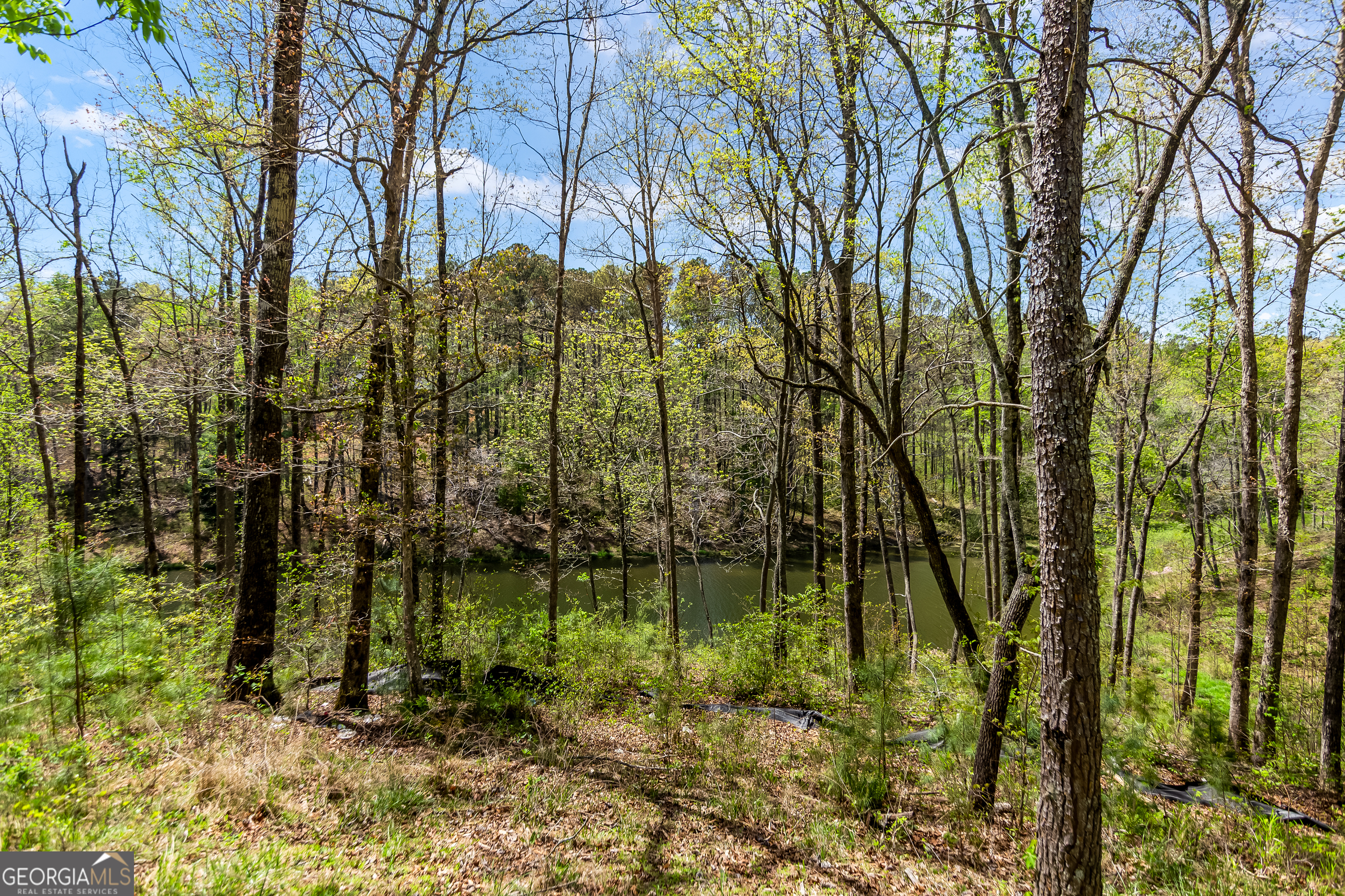177R Overlook Drive Ellijay GA 30536