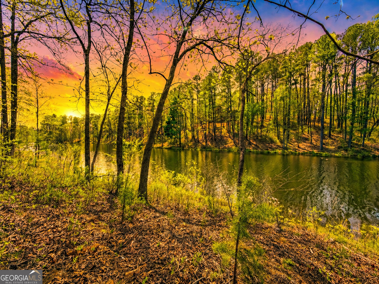177R Overlook Drive Ellijay GA 30536