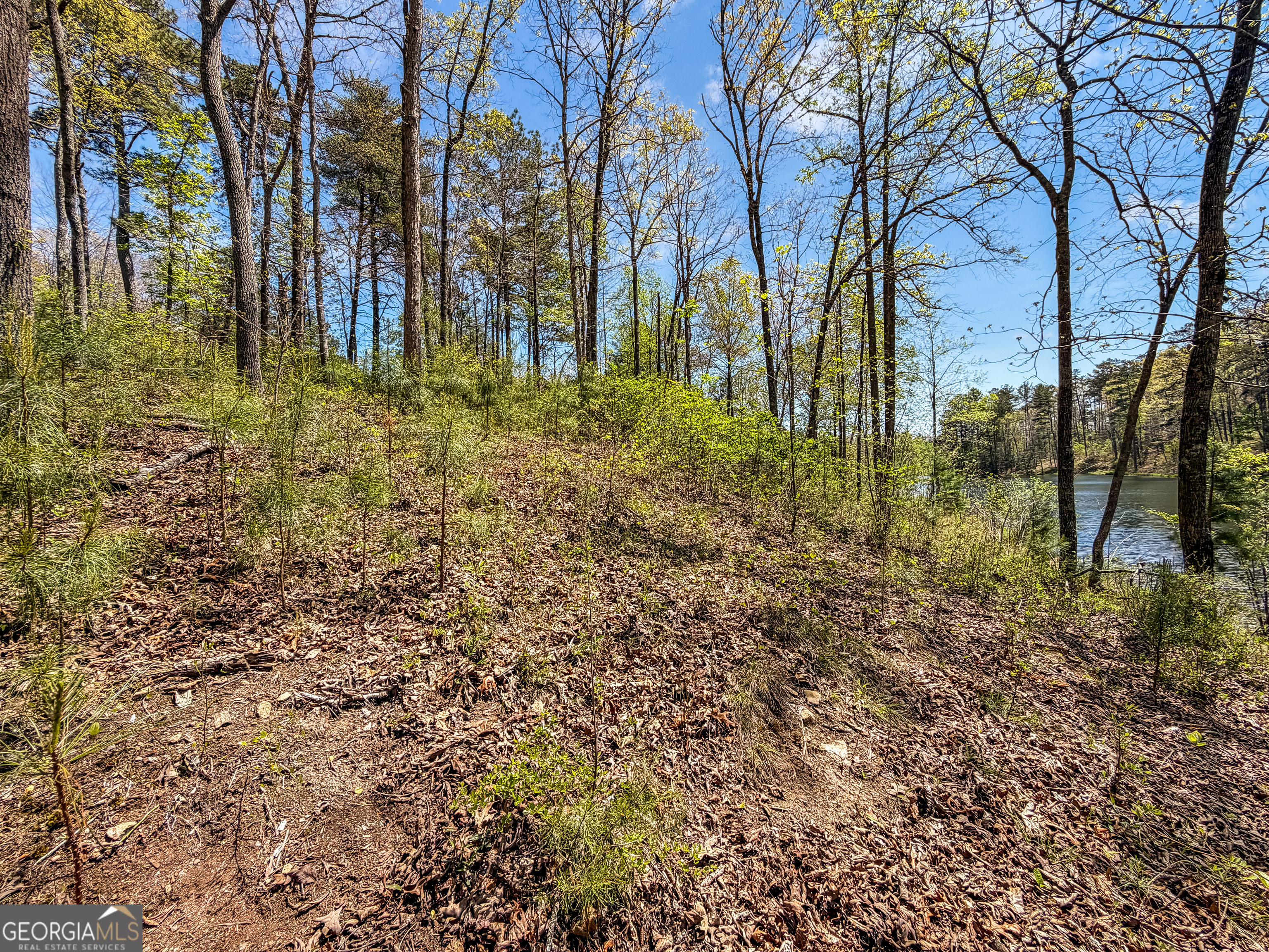 177R Overlook Drive Ellijay GA 30536