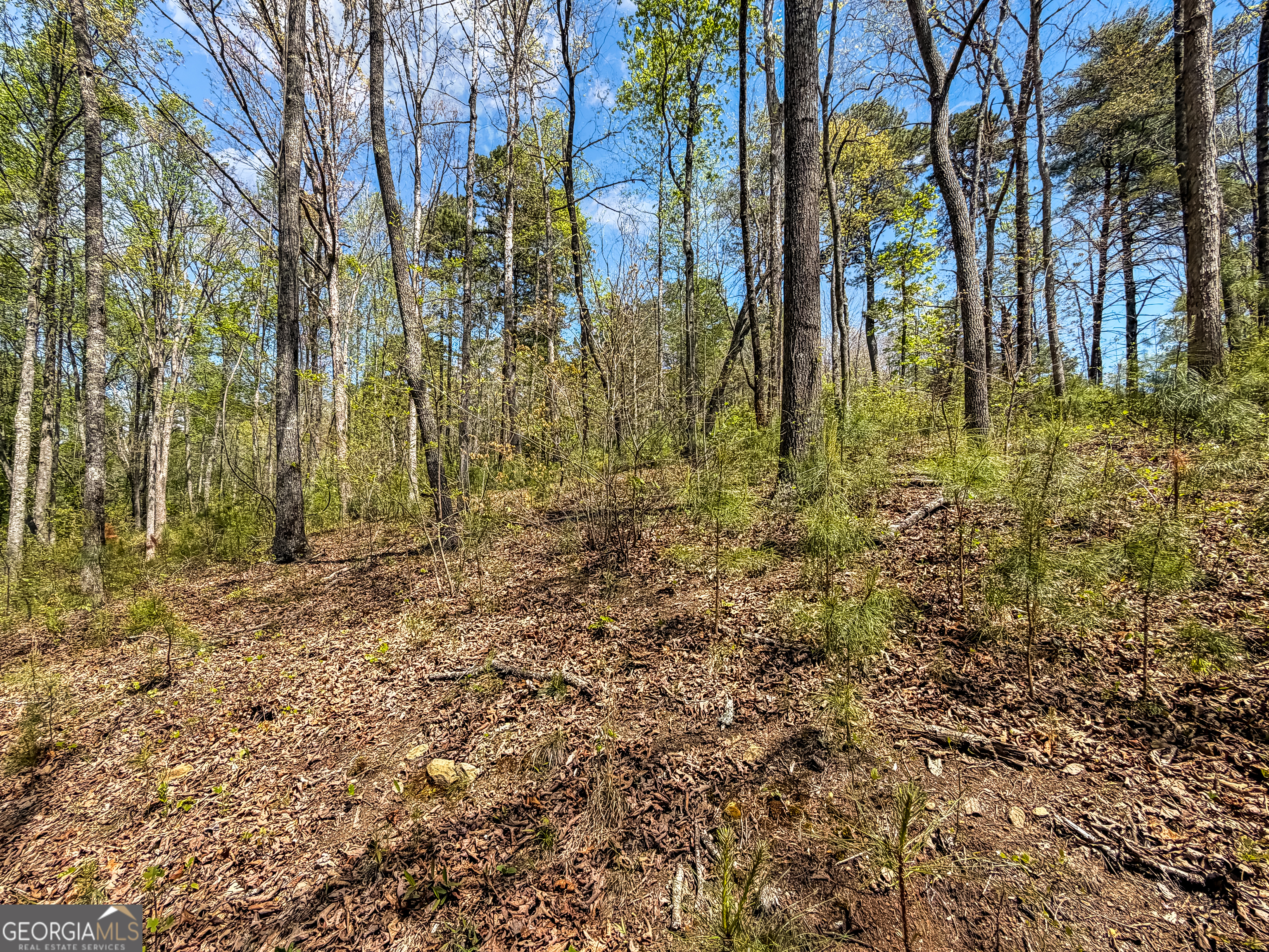 177R Overlook Drive Ellijay GA 30536