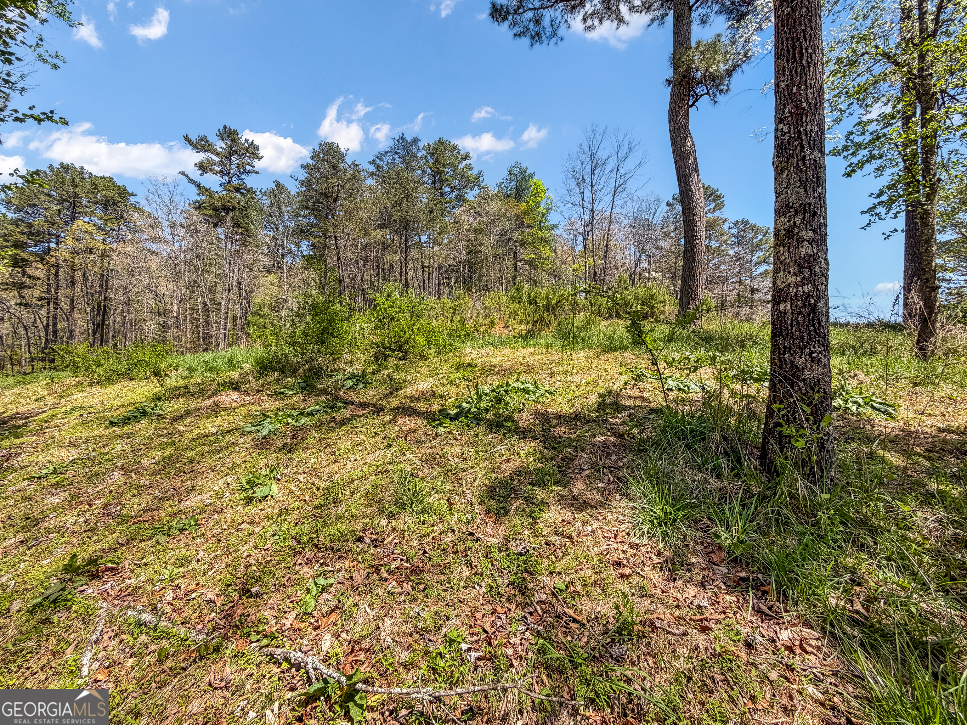 177R Overlook Drive Ellijay GA 30536