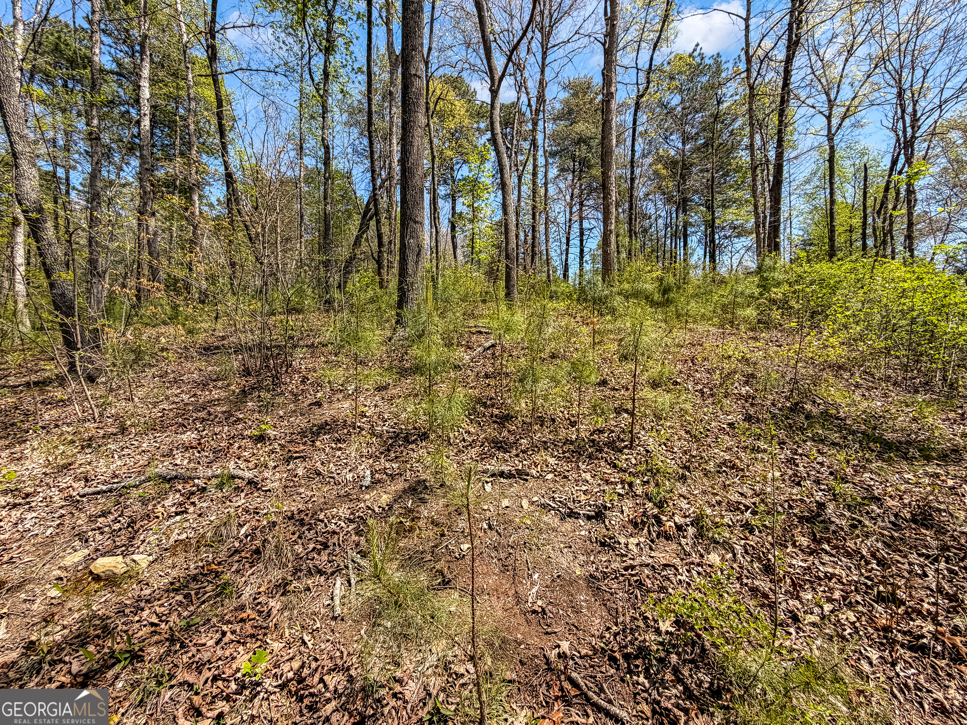 177R Overlook Drive Ellijay GA 30536