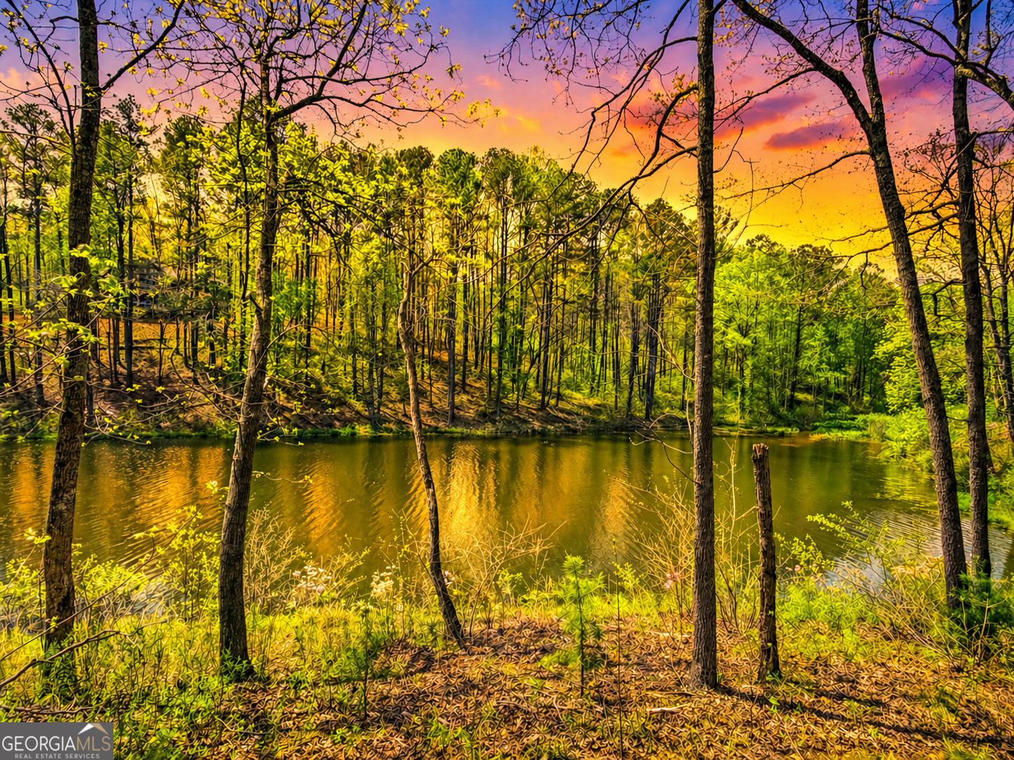 177R Overlook Drive Ellijay GA 30536