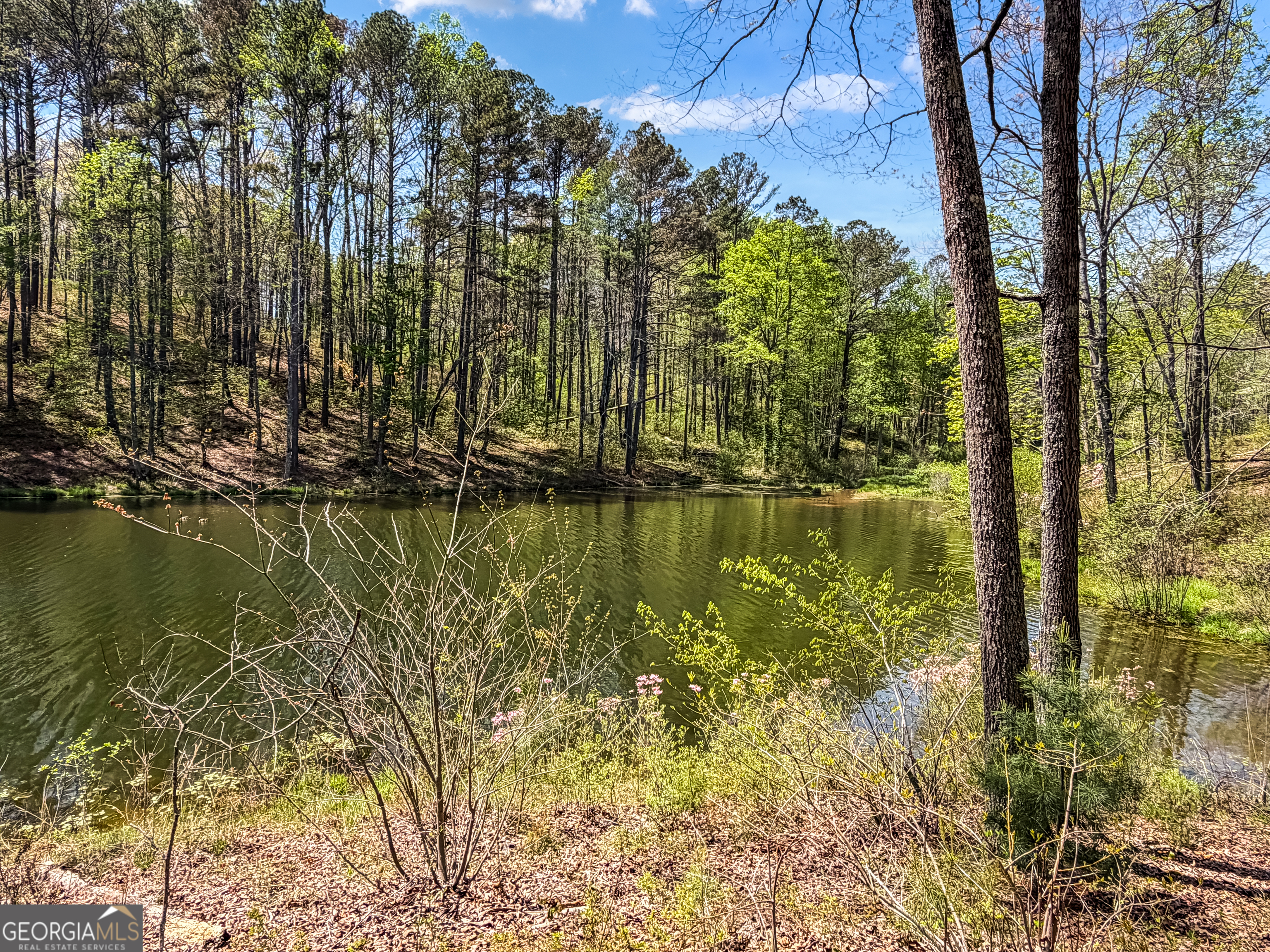 177R Overlook Drive Ellijay GA 30536
