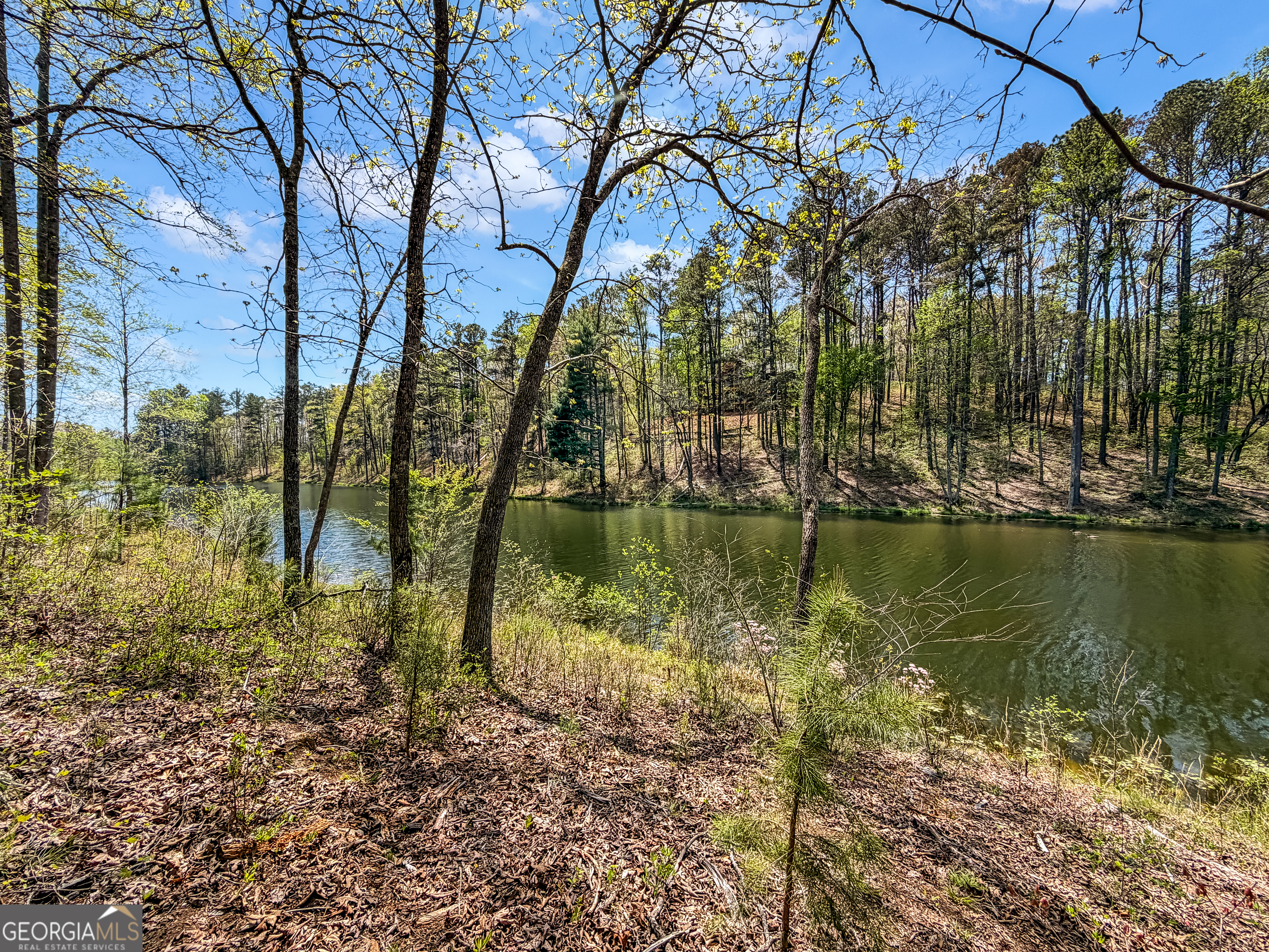 177R Overlook Drive Ellijay GA 30536