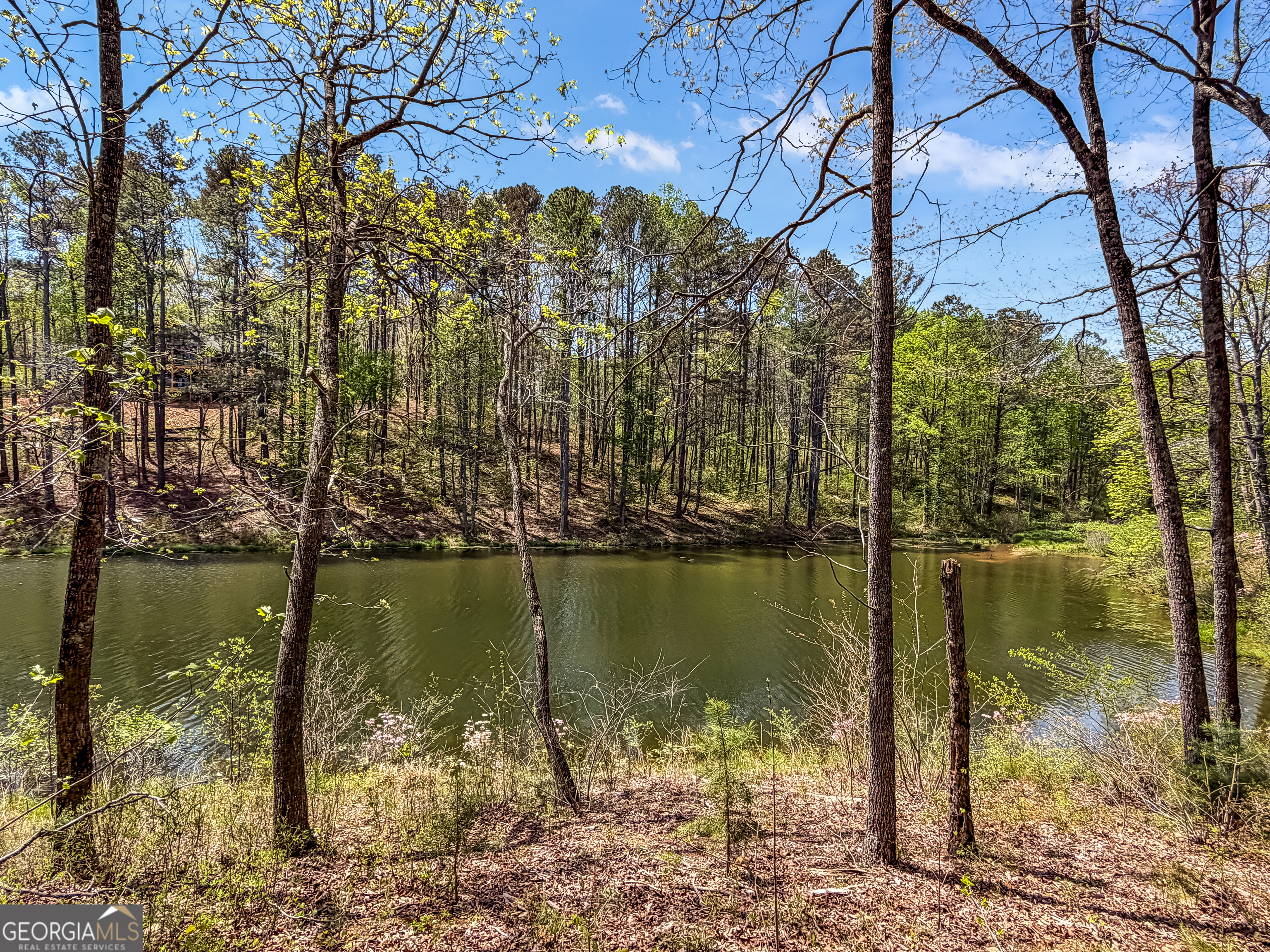 177R Overlook Drive Ellijay GA 30536